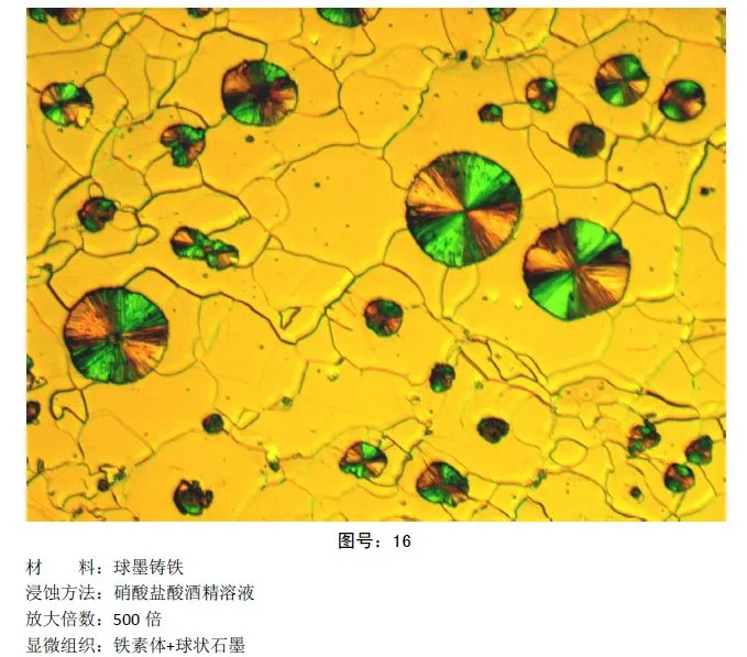 彩色金相图片 (13).webp