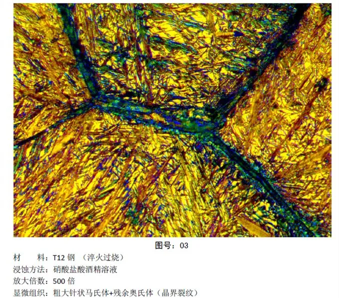 彩色金相图片 (10).webp