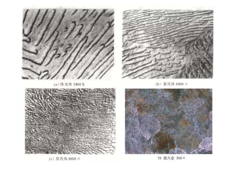 切割机 研磨机 金相显微镜 (1).webp