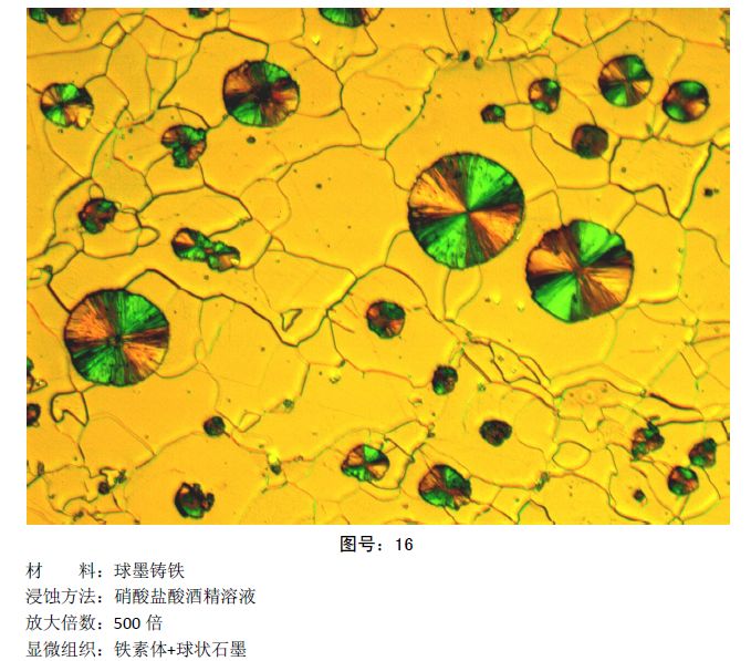 彩色金相图片 (13).jpg