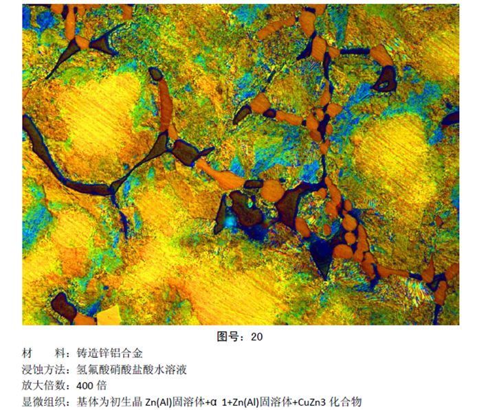 彩色金相图片 (11).jpg